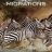 Great Migrations : 1.Sezon 4.Bölüm izle