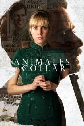 Animales sin collar izle (2018)