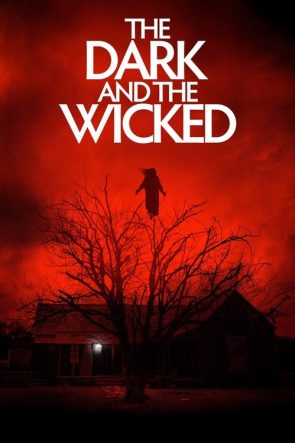 The Dark and the Wicked izle (2020)