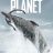 Prehistoric Planet : 2.Sezon 4.Bölüm izle