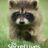 The Secret Lives of Animals : 1.Sezon 9.Bölüm izle