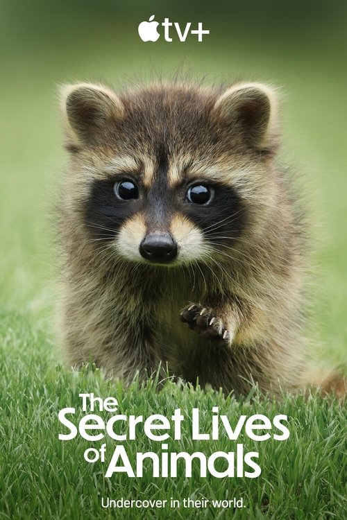 The Secret Lives of Animals : 1.Sezon 9.Bölüm