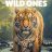 The Wild Ones : 1.Sezon 2.Bölüm izle