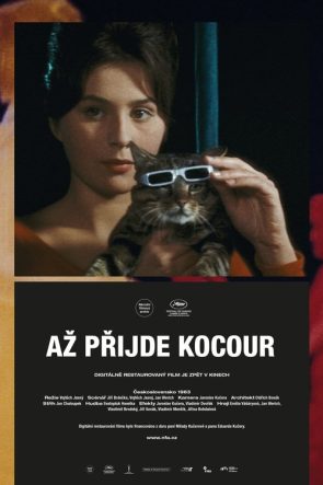 Až přijde kocour izle (1963)