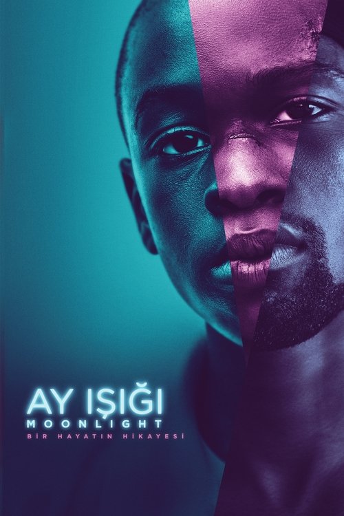 Ay Işığı izle (2016)