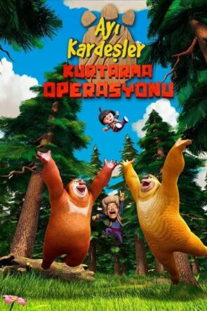 Ayı Kardeşler: Kurtarma Operasyonu izle (2014)