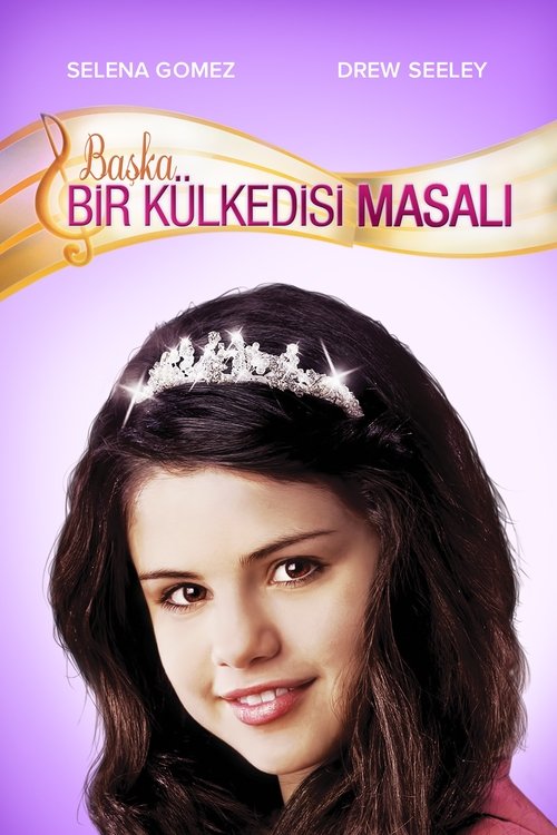 Başka Bir Külkedisi Masalı izle (2008)