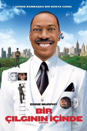 Bir Çılgının İçinde izle (2008)