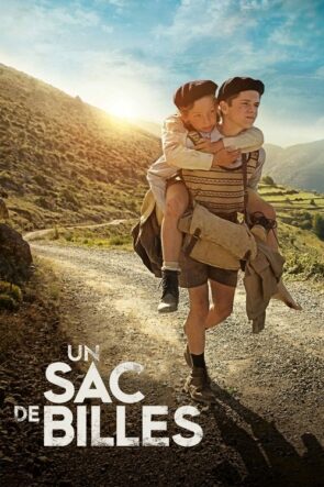 Bir Torba Bilye izle (2017)