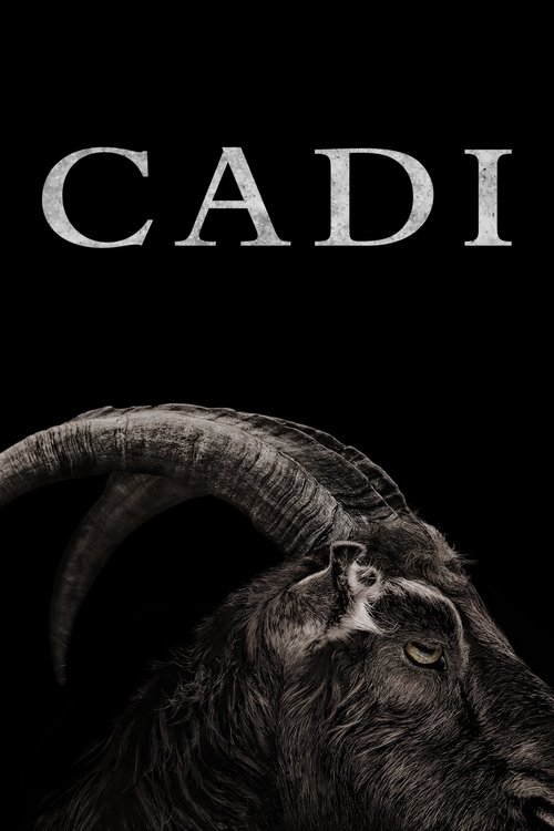 Cadı izle (2016)