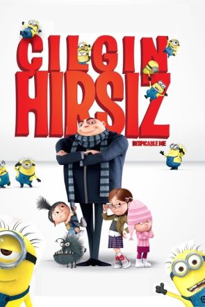 Çılgın Hırsız izle (2010)