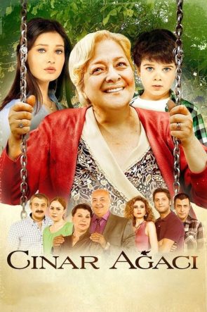 Çınar Ağacı izle (2011)