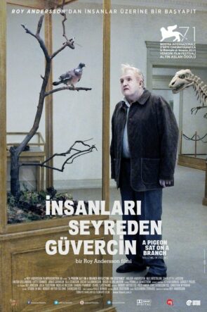 İnsanları Seyreden Güvercin izle (2014)