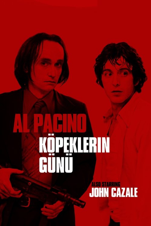 Köpeklerin Günü izle (1975)