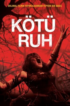 Kötü Ruh izle (2013)