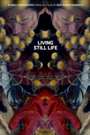 La résurrection des natures mortes (Living Still Life) izle (2014)