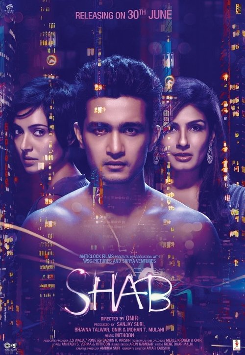 Shab izle (2017)