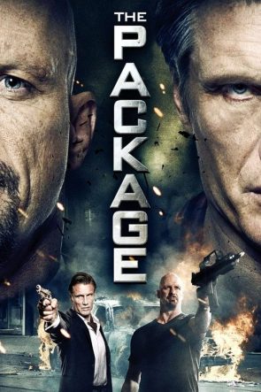 Teslimat izle (2013)