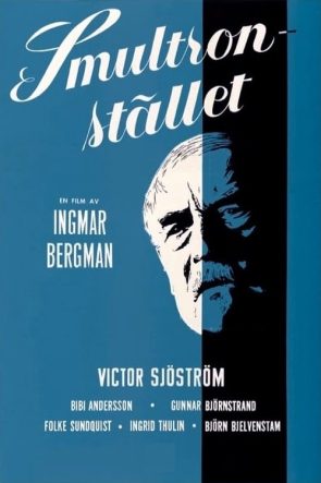 Yaban Çilekleri izle (1957)