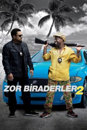Zor Biraderler 2 izle (2016)