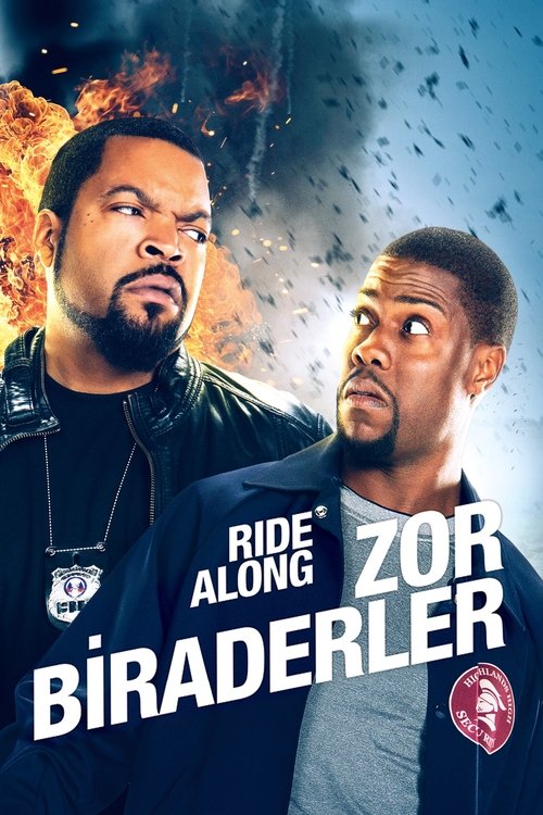 Zor Biraderler izle (2014)